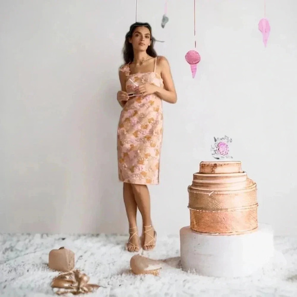 NWT Anthropologie Pastel Pink Floral Appliqué Midi Party Event Dress Size 8 - Picture 2 of 13